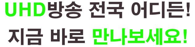 메인텍스트 2